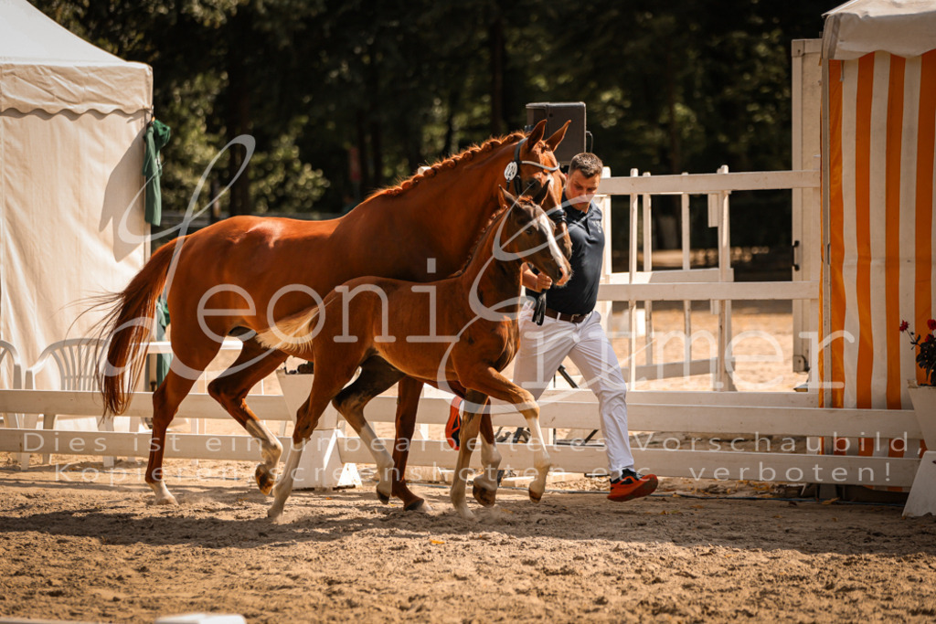 09.DoWBD00067 | Leoni Ertmer Photography - Realisiert mit Pictrs.com