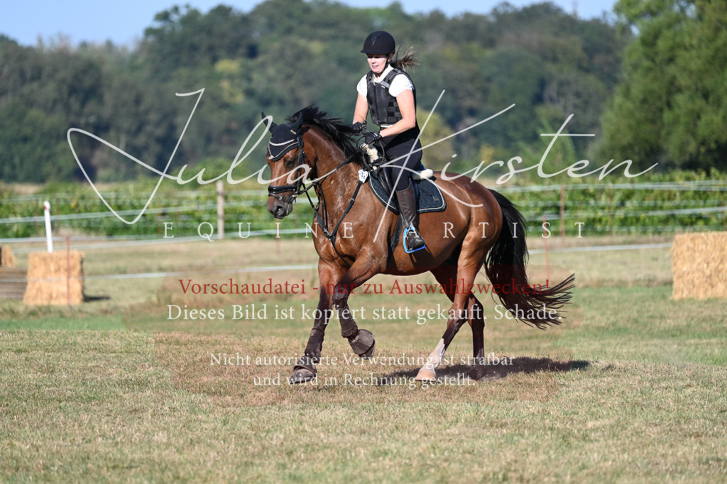 DSC_9015-2 | Pferde- und Turnierfotografie in Westsachsen. Pferdeportraits, Auftragszeichnungen und intuitive Kunst.