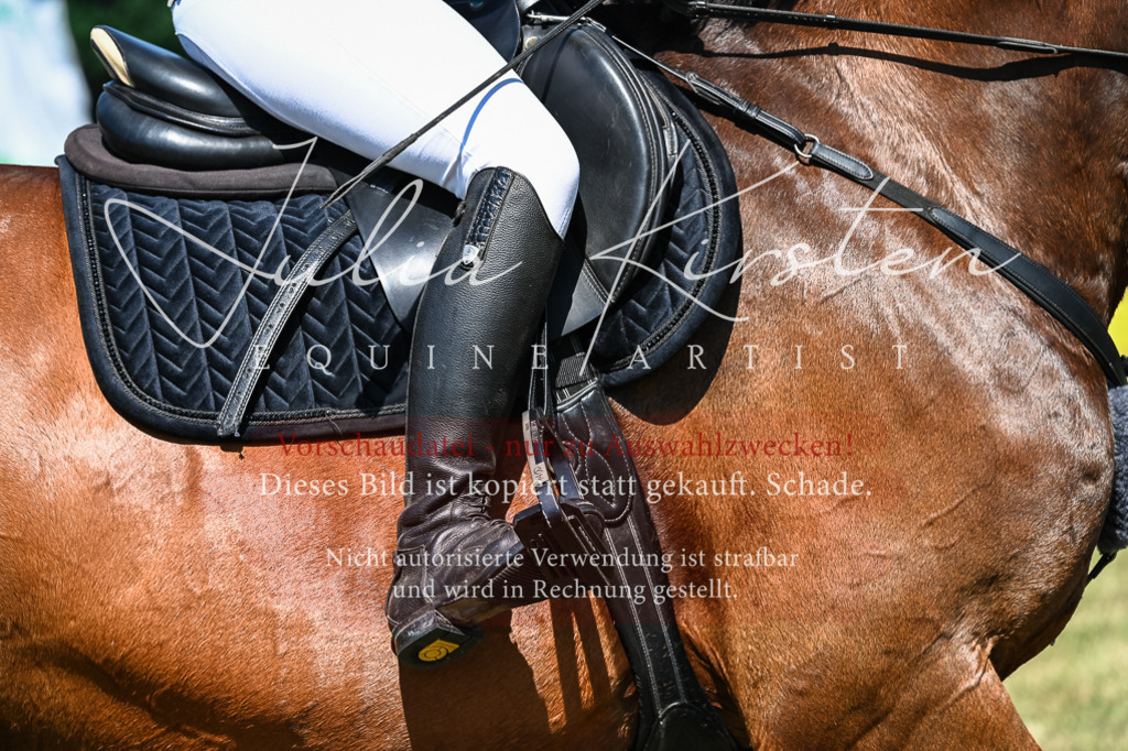 DSC_1524 | Pferde- und Turnierfotografie in Westsachsen. Pferdeportraits, Auftragszeichnungen und intuitive Kunst.