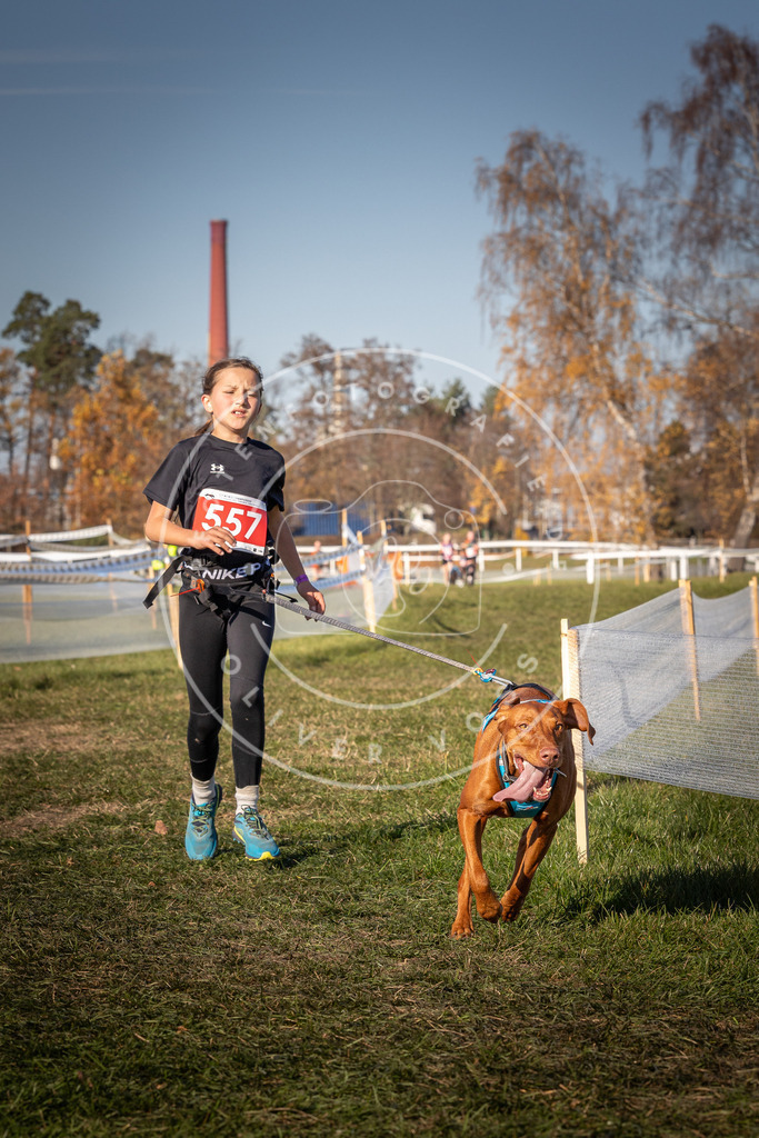 CaniXpix_0L8A7823 | Hundefotografie, Tierfotograf, Pfotenfotografie, Fotoshooting Hund, Hunde Portrait, Hundesport, Hundeportraits, Heideshooting, Hunde, Sportfotograf, Hundefotograf, Turnierhundsport, THS,  - Realisiert mit Pictrs.com