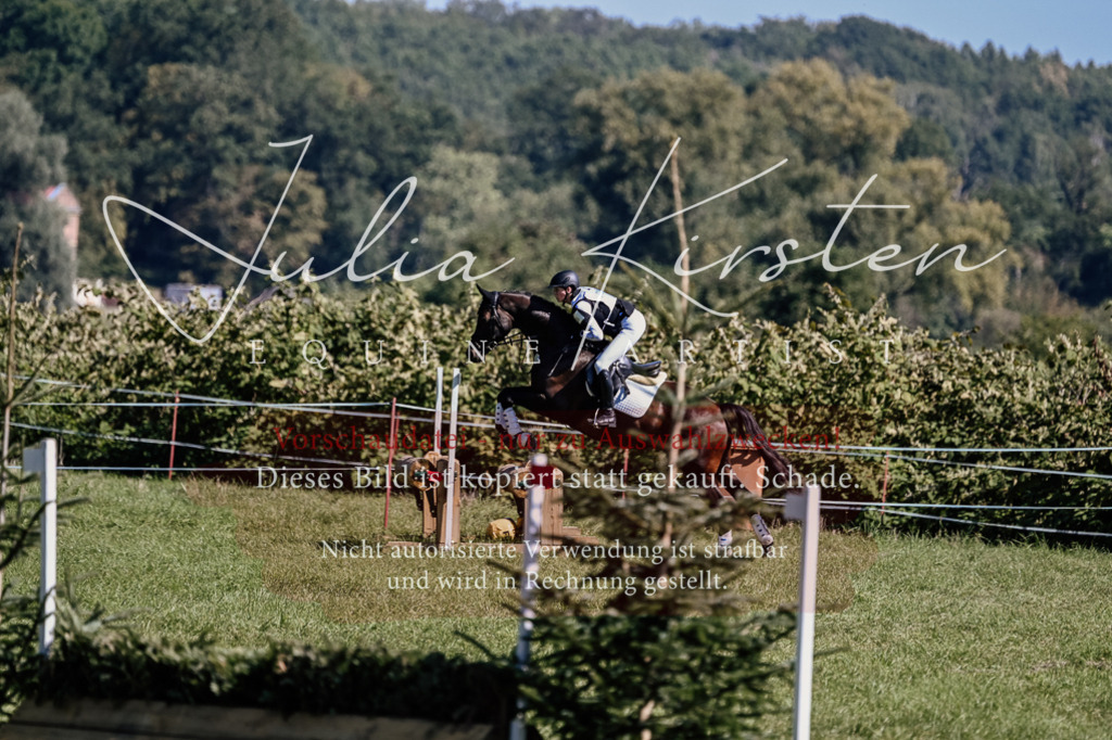 DSC_1436 | Pferde- und Turnierfotografie in Westsachsen. Pferdeportraits, Auftragszeichnungen und intuitive Kunst.