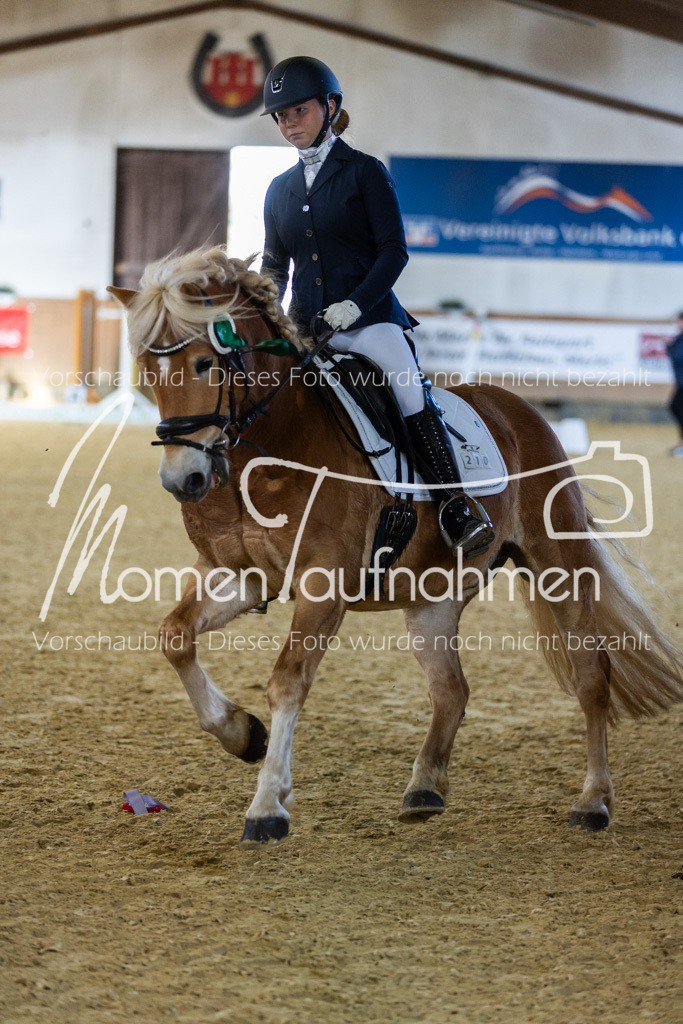 Sth-LPO25-DrR-L-309 | MomenTaufnahmen Pferdesportfotos