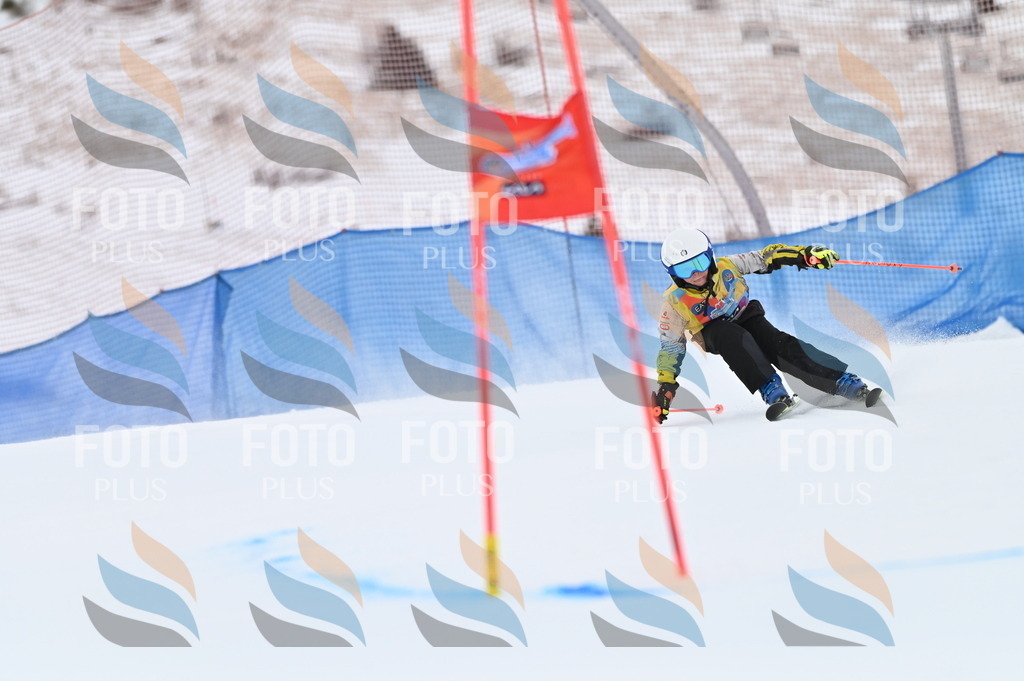 BGV_3341 | holidayphoto