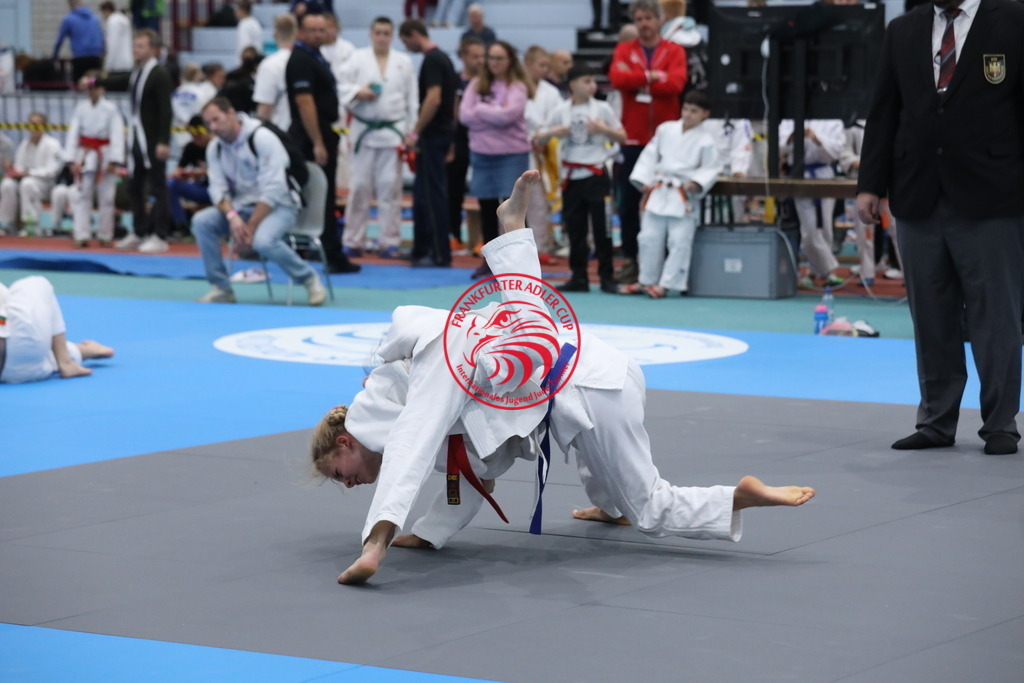 1J7A2418 | Fotos vom Adler Cup - Pictures from Adler Cup

Hier findet Ihr alle Eindrücke und großen Momente der Adler Cup Wochenenden. Here you will find all impressions and great moments of the Adler Cup weekends. - Realisiert mit Pictrs.com