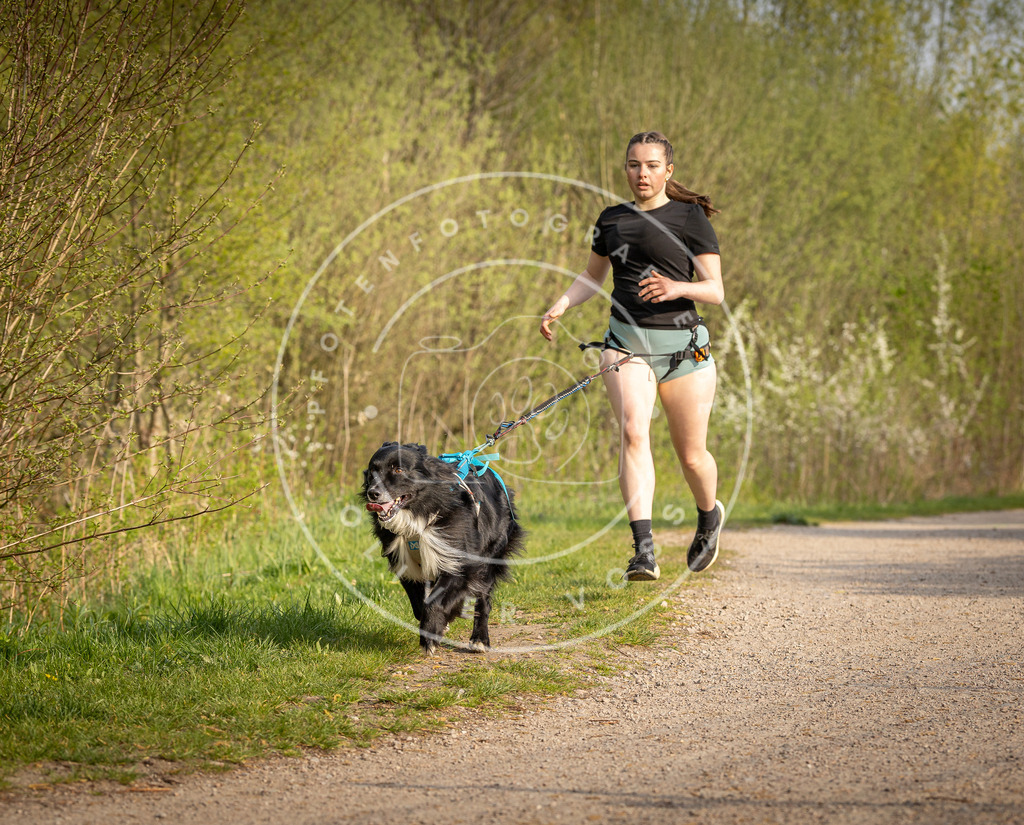 Pfotenfotografie_DV3A4655 | Hundefotografie, Tierfotograf, Pfotenfotografie, Fotoshooting Hund, Hunde Portrait, Hundesport, Hundeportraits, Heideshooting, Hunde, Sportfotograf, Hundefotograf, Turnierhundsport, THS,  - Realisiert mit Pictrs.com