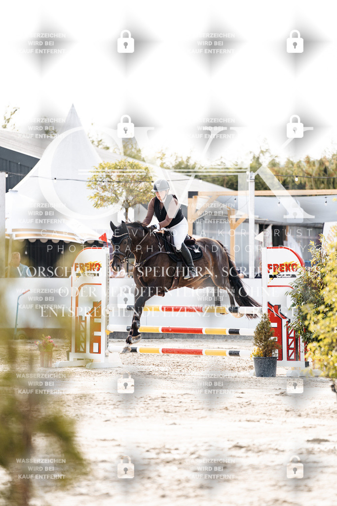CK906566 | Turnierfotografie Pferdefotografie Trier Rheinland-Pfalz Pferdesport Reitsport Tierfotografie Sportfotografie Pferdevideo Pferdevideografie Equestrianvideography equestrianphotography  - Realisiert mit Pictrs.com