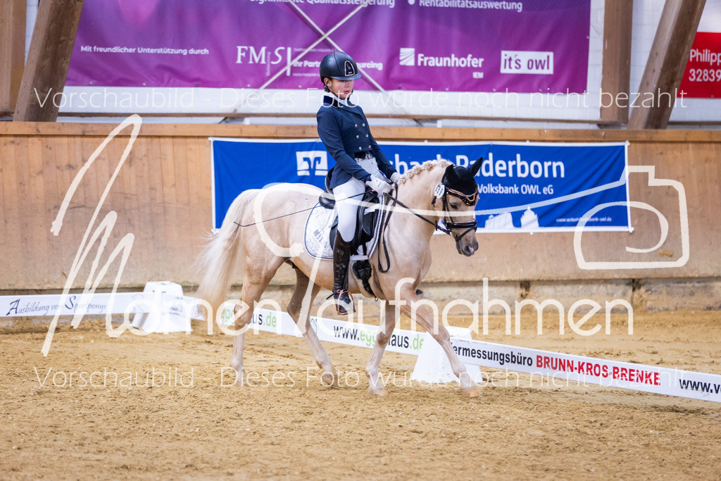 Sth-A-Dre-1St-278 | MomenTaufnahmen Pferdesportfotos