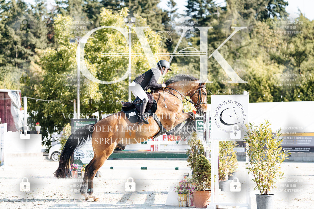 CK901859 | Turnierfotografie Pferdefotografie Trier Rheinland-Pfalz Pferdesport Reitsport Tierfotografie Sportfotografie Pferdevideo Pferdevideografie Equestrianvideography equestrianphotography  - Realisiert mit Pictrs.com