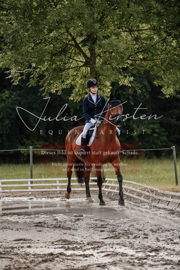DSC_8426 | Pferde- und Turnierfotografie in Westsachsen. Pferdeportraits, Auftragszeichnungen und intuitive Kunst.