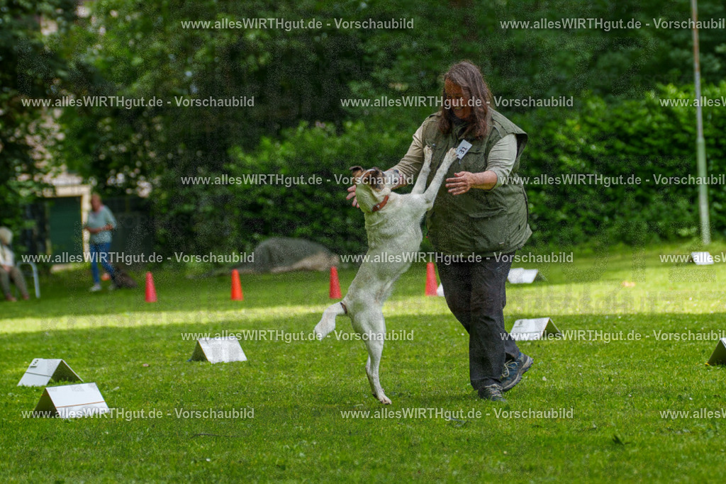 @allesWIRTHgut_Tierfotografie - www.allesWIRTHgut.de - 7R504391 | Professionelle Tierfotografie in Mönchengladbach von Daniel Wirth (allesWIRTHgut). Liebevolle & natürliche Bilder von Hunden & Katzen für unvergessliche Erinnerungen.