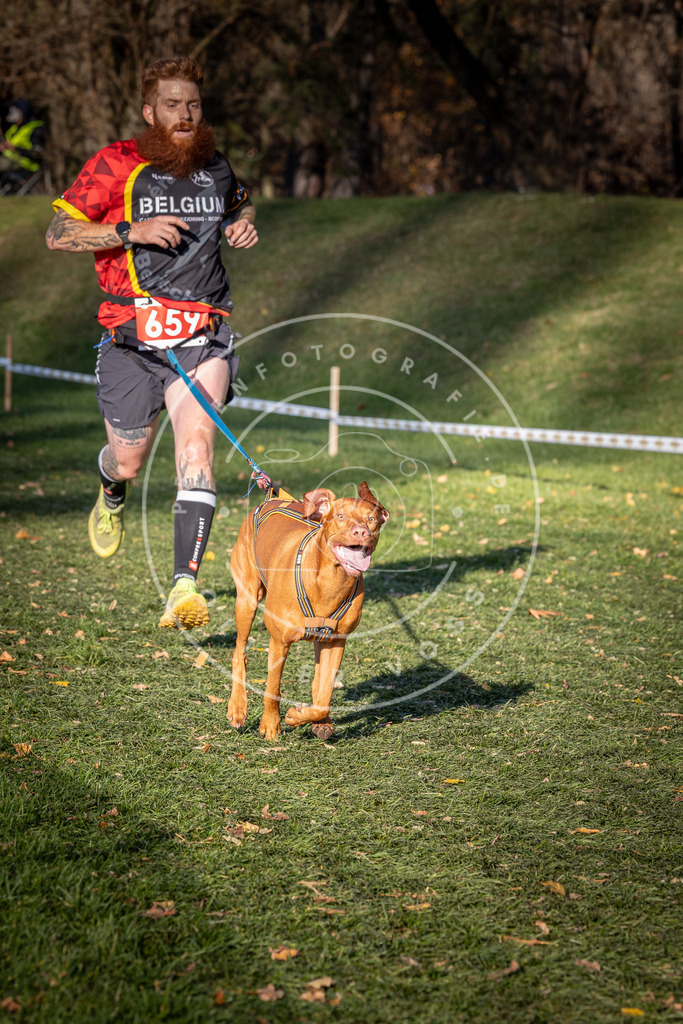 CaniXpix_0L8A9146 | Hundefotografie, Tierfotograf, Pfotenfotografie, Fotoshooting Hund, Hunde Portrait, Hundesport, Hundeportraits, Heideshooting, Hunde, Sportfotograf, Hundefotograf, Turnierhundsport, THS,  - Realisiert mit Pictrs.com