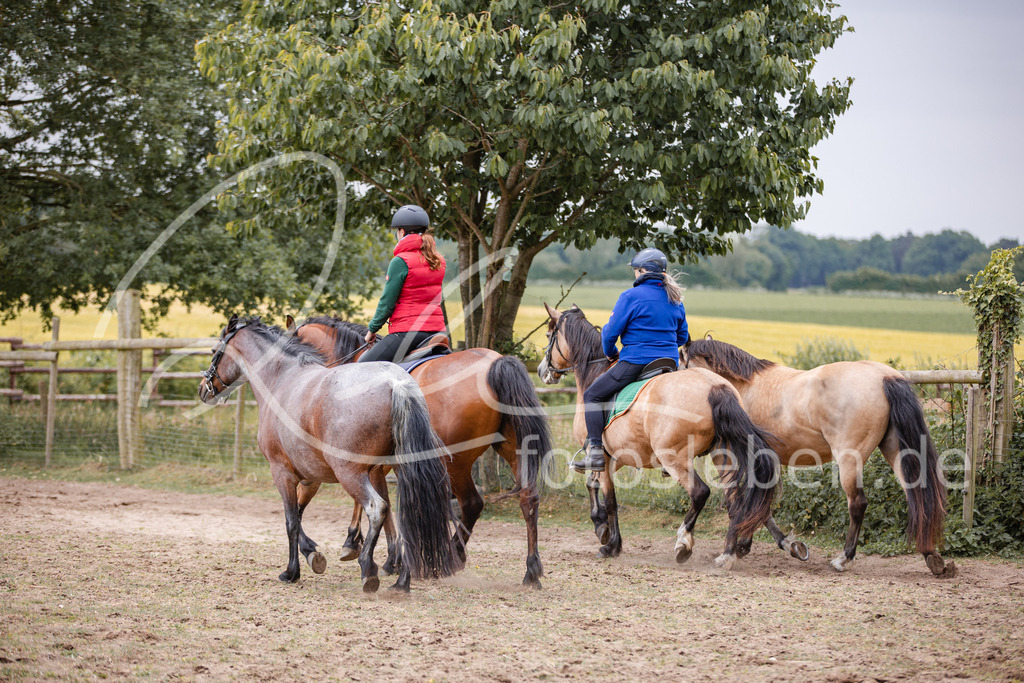 846A0138 | fotosleben - Realisiert mit Pictrs.com
