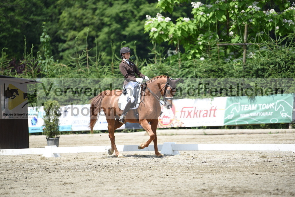 DSC_9244 | equestrian-live-com