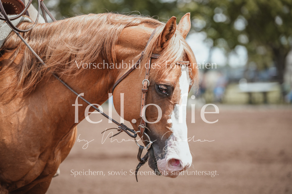 fell.o.fie_mandyjordan_2024_06_05561 | Mandy Klecke Fellfotografie, fell.o.fie Fotografenshop - Realisiert mit Pictrs.com