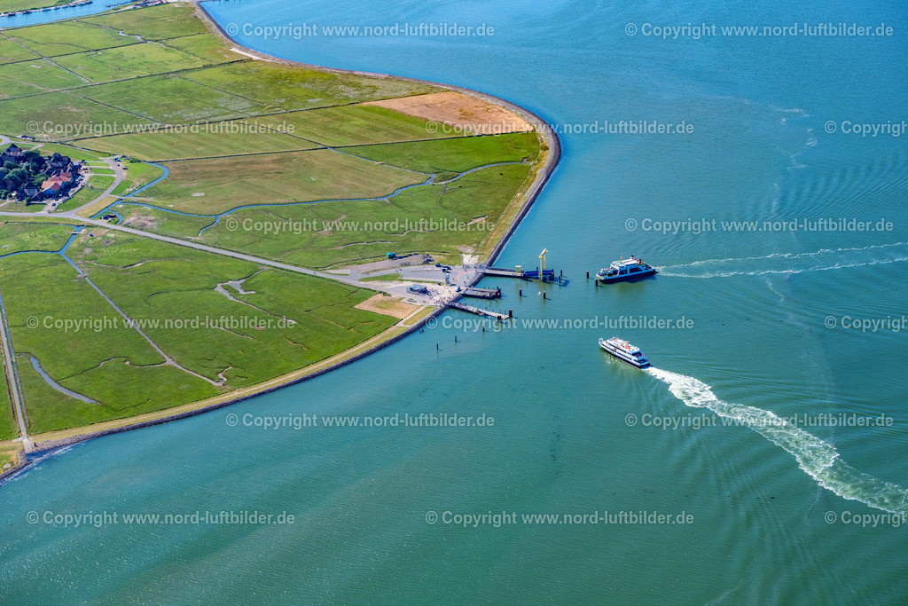 Hallig_Hooge_Hafen_ELS_0385130822 | HOOGE 13.08.2022 Hallig Hooge Hafenanlage mit Passagierschiff " Adler Express " und " Hilligenlei Fährschiff " beim Anlegen im Bundesland Schleswig-Holstein, Deutschland. Weiterführende Informationen bei: Adler-Schiffe GmbH & Co. KG. // Hallig Hooge port facility with passenger ship "Adler Express" and "Hilligenlei ferry" when docking in the state of Schleswig-Holstein, Germany. Further information at: Adler-Schiffe GmbH & Co. KG. Foto: Martin Elsen
