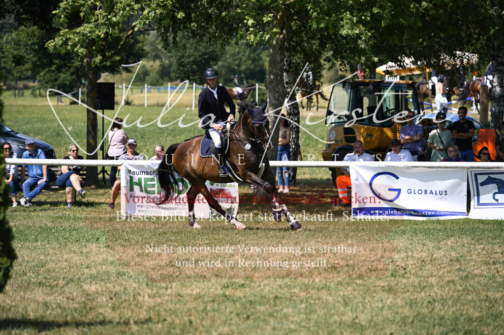 DSC_0271 | Pferde- und Turnierfotografie in Westsachsen. Pferdeportraits, Auftragszeichnungen und intuitive Kunst.