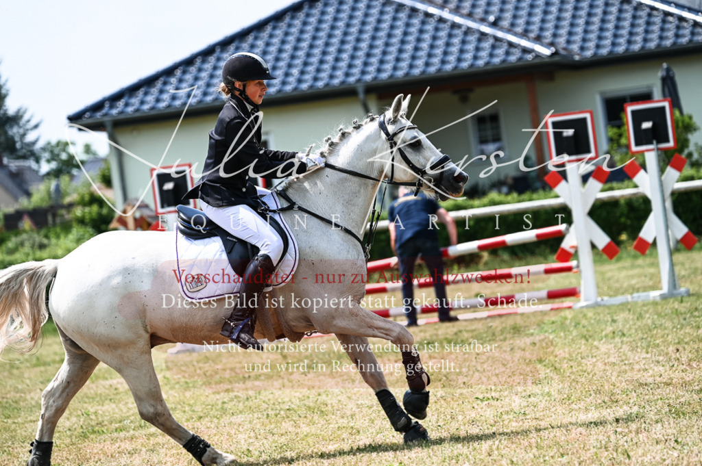 DSC_9420 | Pferde- und Turnierfotografie in Westsachsen. Pferdeportraits, Auftragszeichnungen und intuitive Kunst.