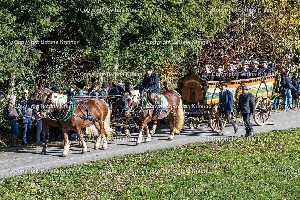 LBT25-92 | foto-bettina-krinner - Realisiert mit Pictrs.com