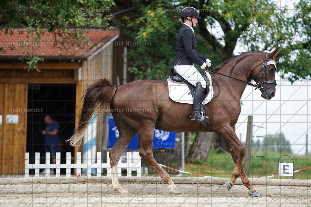 20230826-FAH05567 | Forstinning, 2023, Dressurturnier, Turniersportbilder, Turnierfotografen Bayern, Fotoagentur Herrmann, Reitsportfotografie, Turnierbilder