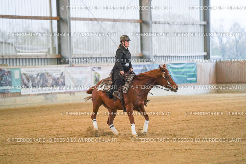 DSC09226 | Pferdegrafie