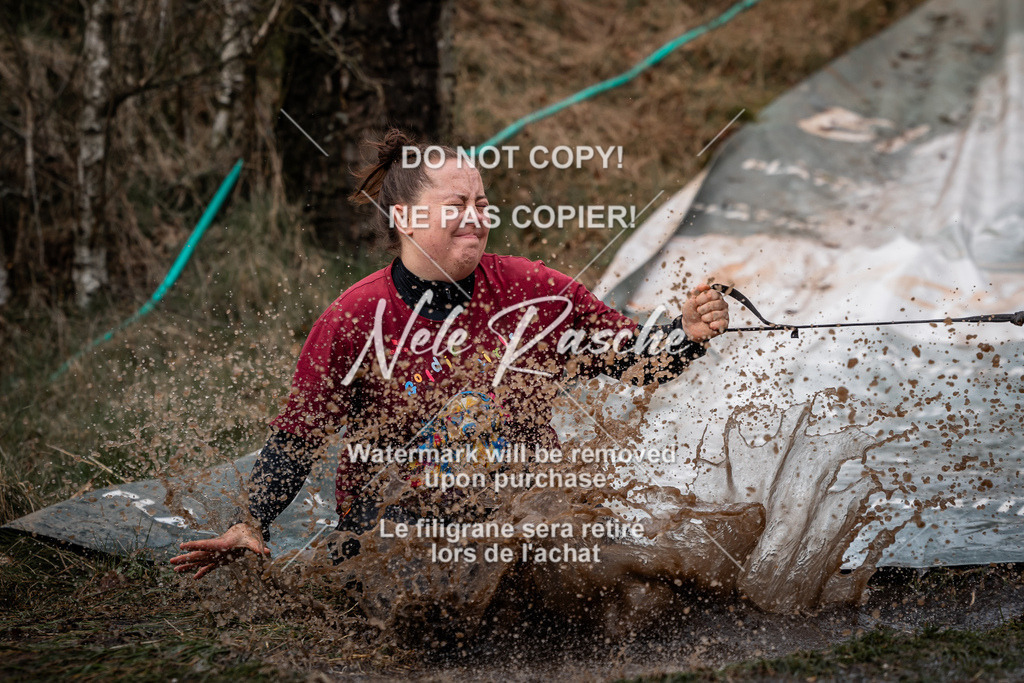 nelerasche_1330-1400_211 | nelerasche