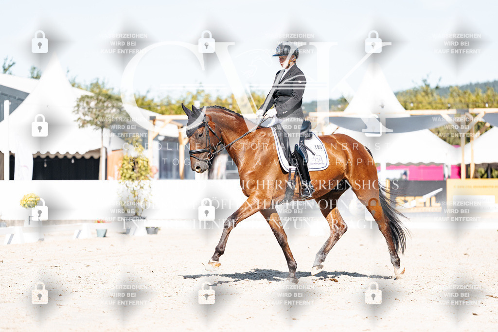 CK908247 | Turnierfotografie Pferdefotografie Trier Rheinland-Pfalz Pferdesport Reitsport Tierfotografie Sportfotografie Pferdevideo Pferdevideografie Equestrianvideography equestrianphotography  - Realisiert mit Pictrs.com