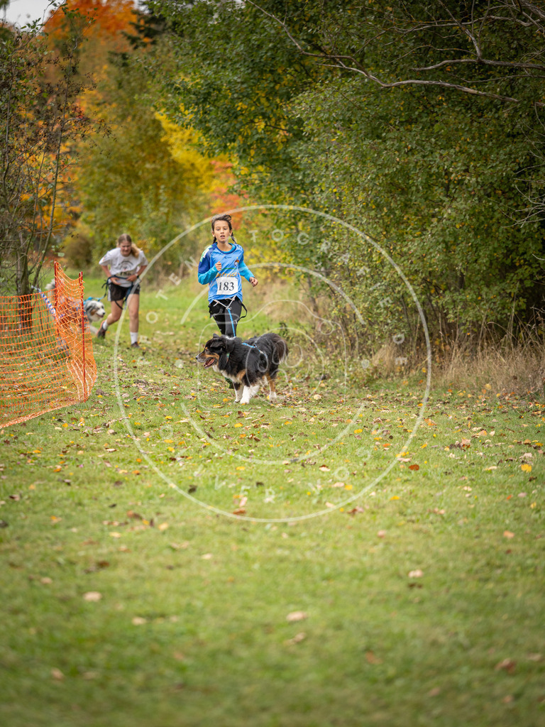 Pfotenfotografie_DV3A3647 | Hundefotografie, Tierfotograf, Pfotenfotografie, Fotoshooting Hund, Hunde Portrait, Hundesport, Hundeportraits, Heideshooting, Hunde, Sportfotograf, Hundefotograf, Turnierhundsport, THS,  - Realisiert mit Pictrs.com