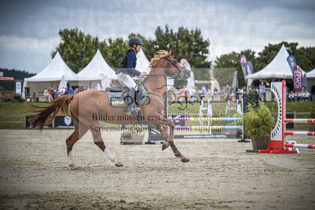 DOS_0585 | Entdecke hochwertige Reitturnierfotos von Foto Oger. Professionell, emotional und authentisch – jetzt Lieblingsmomente im Shop bestellen.Deutschlandweite Turnierfotografie. - Realisiert mit Pictrs.com