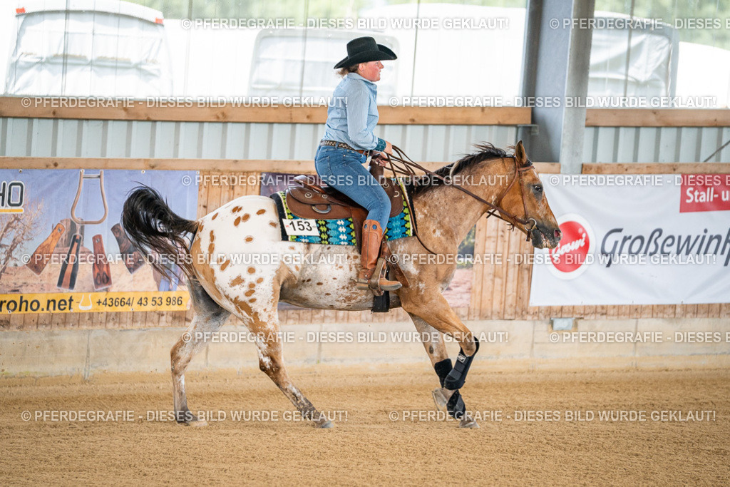 DSC03883 | Pferdegrafie