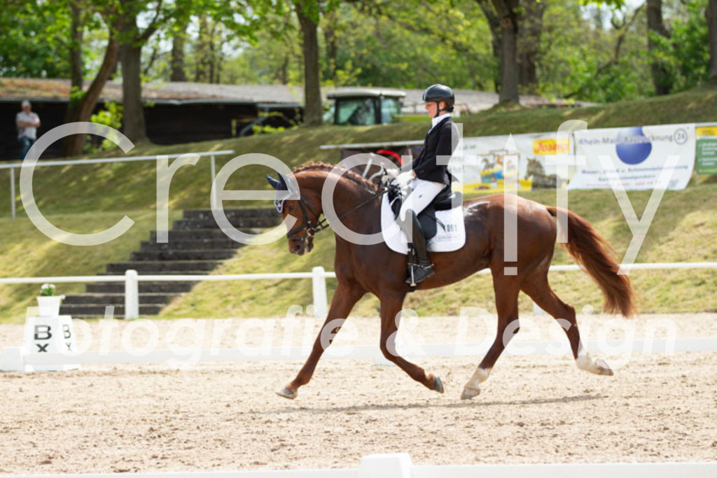 IMG_2520 | Creatify Fotografie