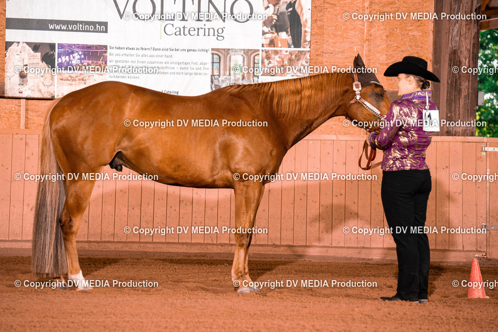 NE100102 | dv-media-shop - Realisiert mit Pictrs.com