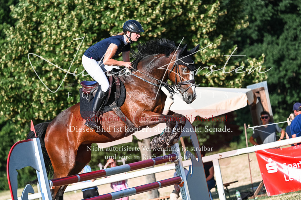 DSC_2881 | Pferde- und Turnierfotografie in Westsachsen. Pferdeportraits, Auftragszeichnungen und intuitive Kunst.