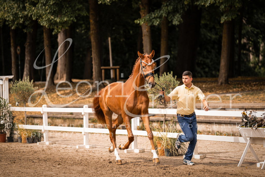 5.Fr00026 | Leoni Ertmer Photography - Realisiert mit Pictrs.com