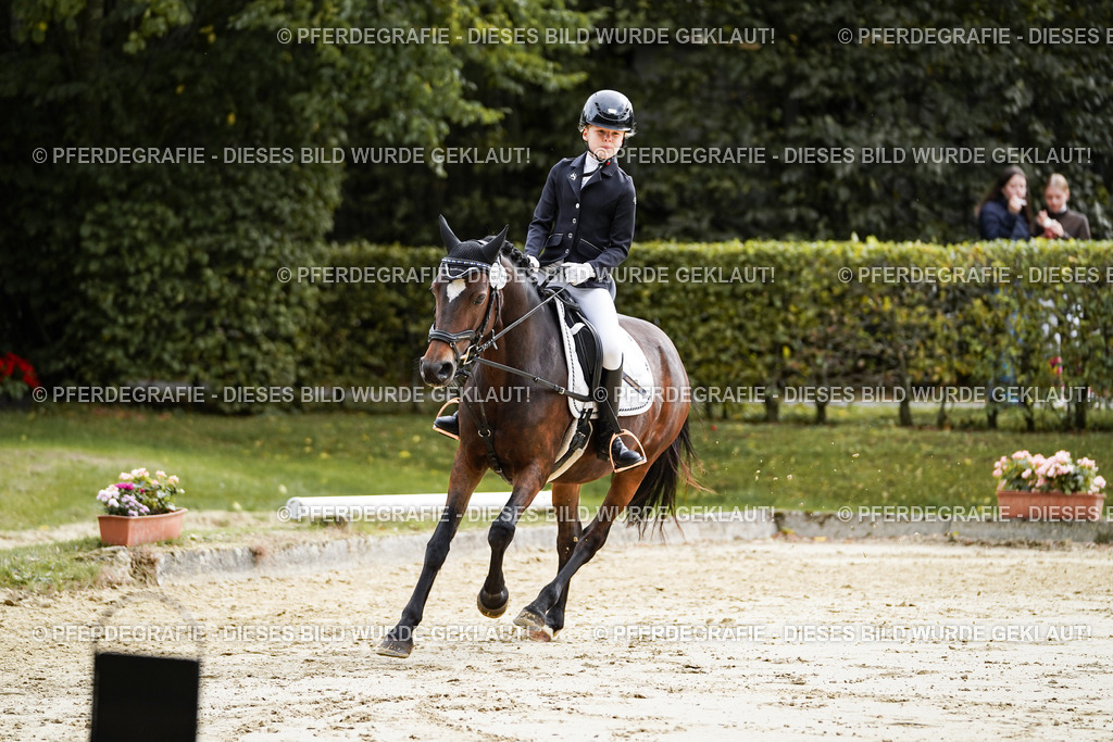 DSC05547 | Pferdegrafie