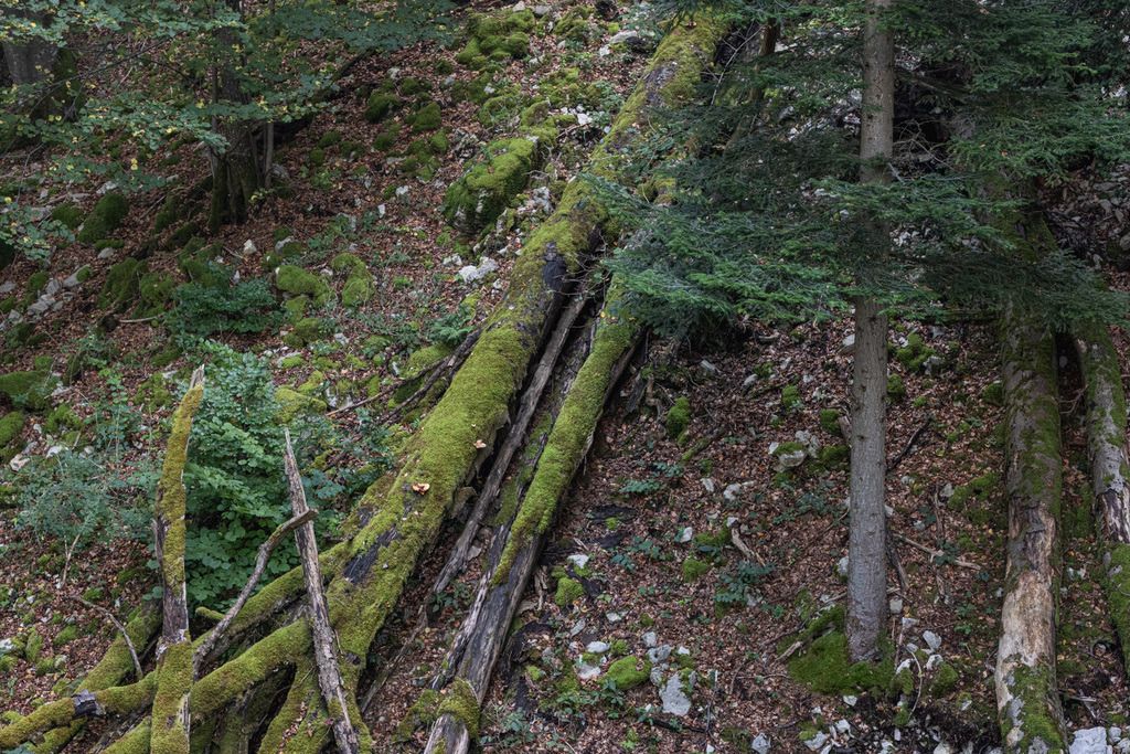 ZD250916101447-3 | default