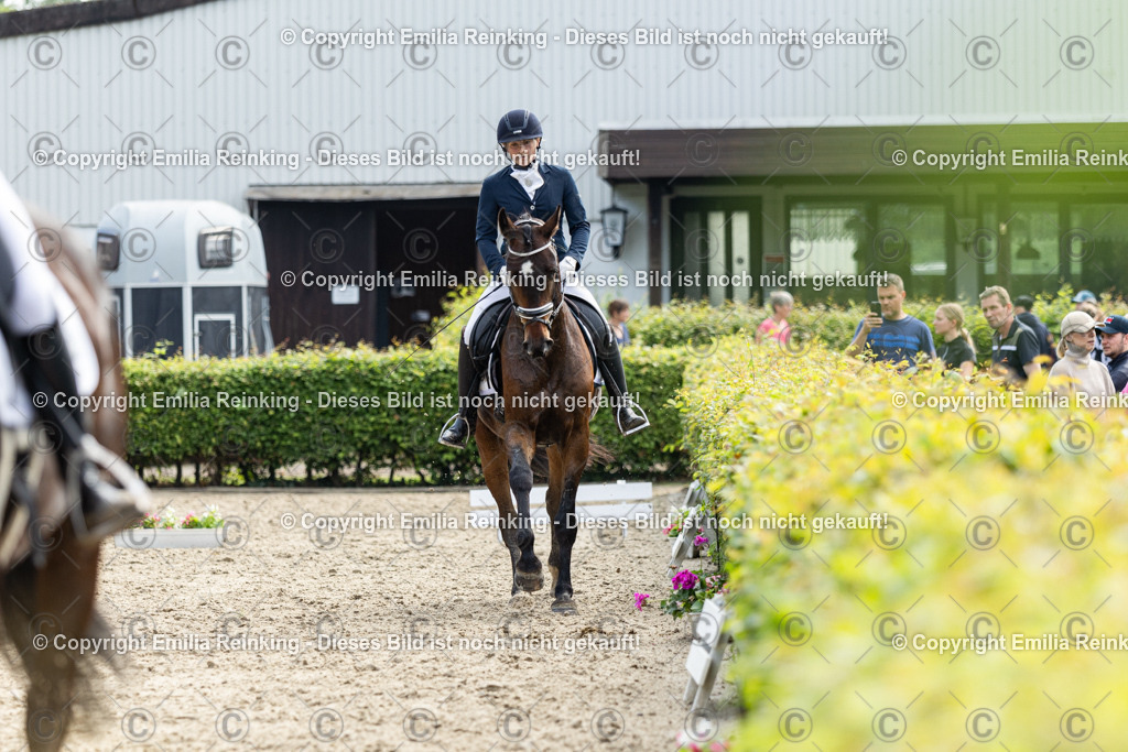 CL5A5405 | Emilia Reinking Fotografie - Realisiert mit Pictrs.com