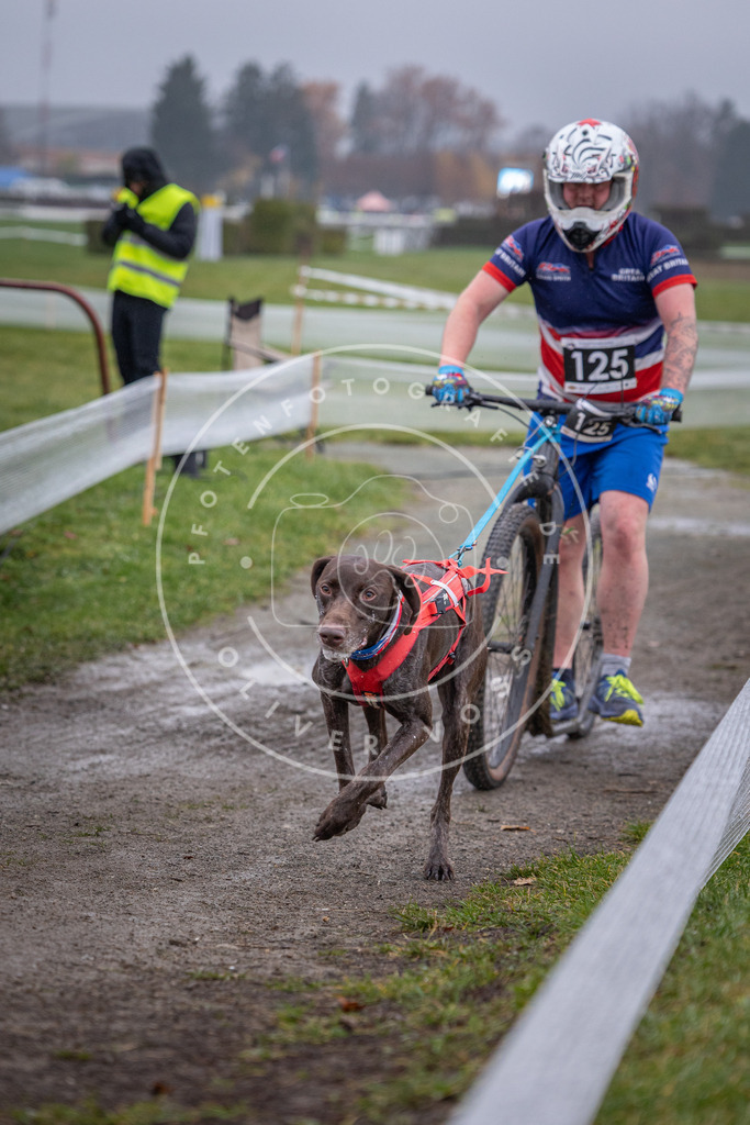 CaniXpix_0L8A0913 | Hundefotografie, Tierfotograf, Pfotenfotografie, Fotoshooting Hund, Hunde Portrait, Hundesport, Hundeportraits, Heideshooting, Hunde, Sportfotograf, Hundefotograf, Turnierhundsport, THS,  - Realisiert mit Pictrs.com