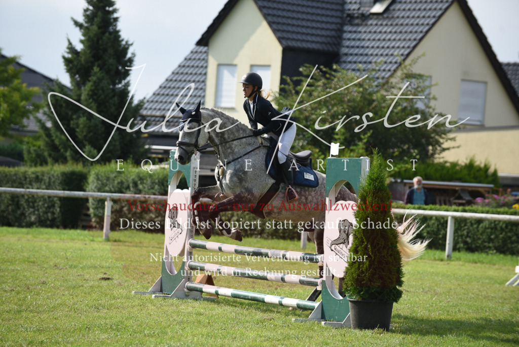 DSC_8756 | Pferde- und Turnierfotografie in Westsachsen. Pferdeportraits, Auftragszeichnungen und intuitive Kunst.