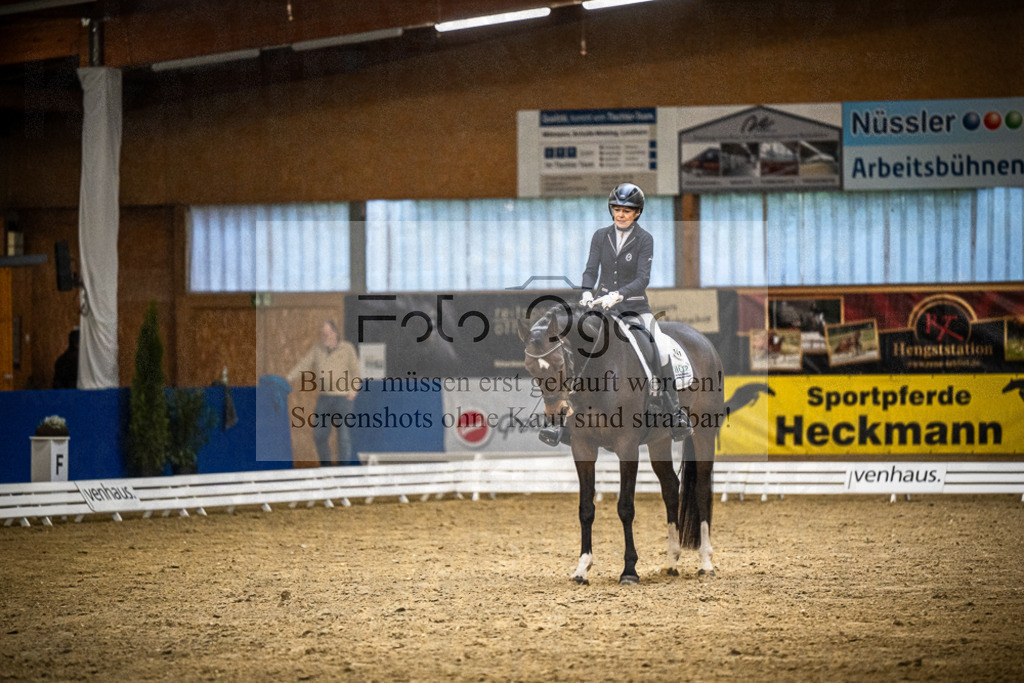 DOS_0038 | Entdecke hochwertige Reitturnierfotos von Foto Oger. Professionell, emotional und authentisch – jetzt Lieblingsmomente im Shop bestellen.Deutschlandweite Turnierfotografie. - Realisiert mit Pictrs.com