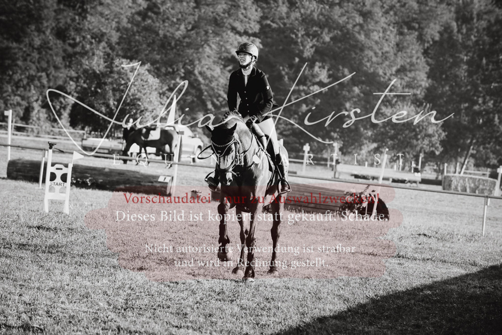 DSC_4844 | Pferde- und Turnierfotografie in Westsachsen. Pferdeportraits, Auftragszeichnungen und intuitive Kunst.