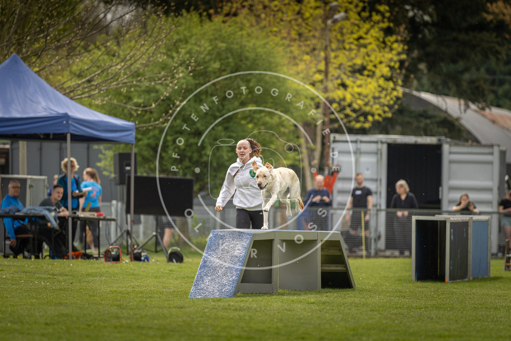 Pfotenfotografie_DV3A6537 | Hundefotografie, Tierfotograf, Pfotenfotografie, Fotoshooting Hund, Hunde Portrait, Hundesport, Hundeportraits, Heideshooting, Hunde, Sportfotograf, Hundefotograf, Turnierhundsport, THS,  - Realisiert mit Pictrs.com