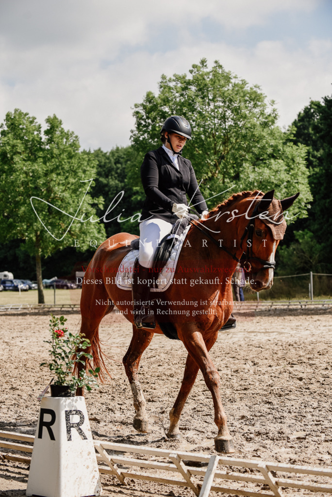 DSC_0311 | Pferde- und Turnierfotografie in Westsachsen. Pferdeportraits, Auftragszeichnungen und intuitive Kunst.