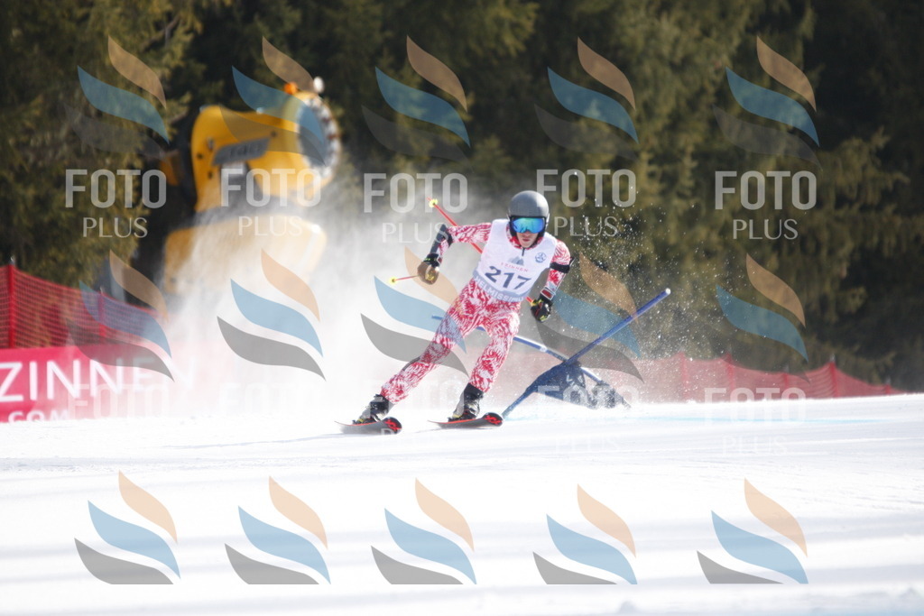 D8351 | holidayphoto