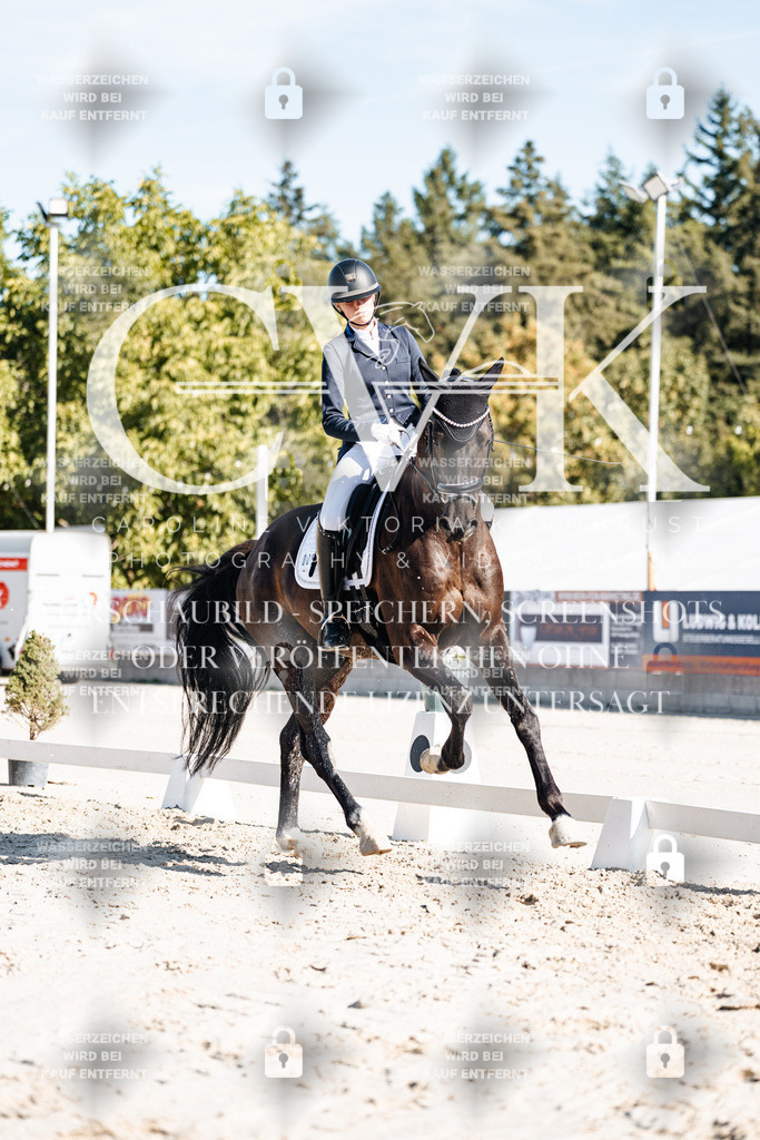 CK907895 | Turnierfotografie Pferdefotografie Trier Rheinland-Pfalz Pferdesport Reitsport Tierfotografie Sportfotografie Pferdevideo Pferdevideografie Equestrianvideography equestrianphotography  - Realisiert mit Pictrs.com