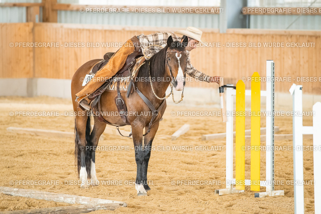 DSC07214 | Pferdegrafie