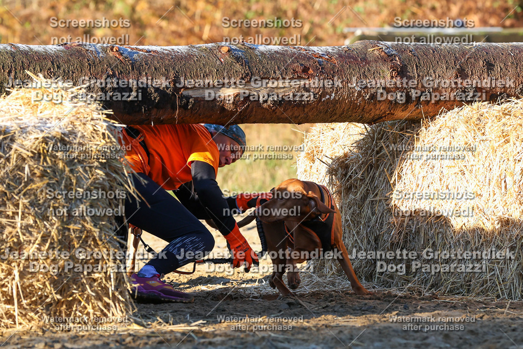 Dog Paparazzi - Strongdog 10-25-793 | Dog Paparazzi Jeanette Grottendiek Fotografie & Videografie - Realisiert mit Pictrs.com