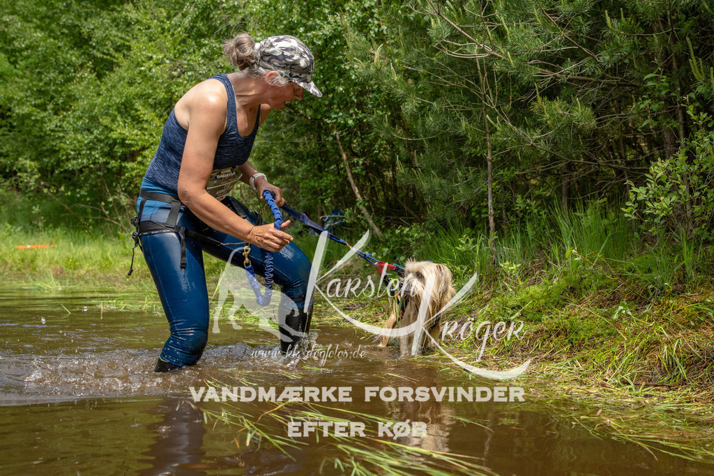 1236DKK993165 | kk-dogfotos