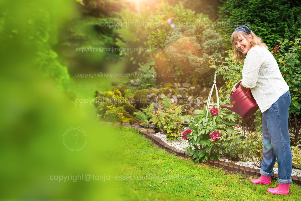 Nette Frau gießt Pfingstrosen im Garten  | Nette Frau gießt im Garten die Pfingstrosen. Es ist Ende Mai in Deutschland. Im Vordergrund ist unscharfer Copy Space. 
