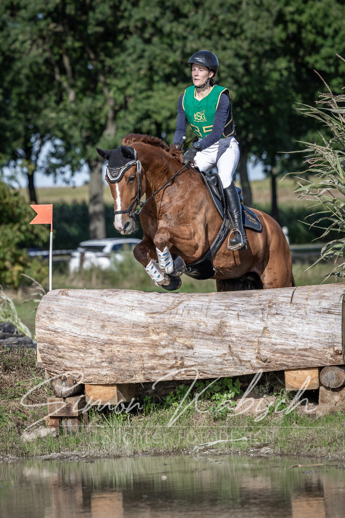 20250907-_3LI3642 | Tierfotografie Pferde, Hunde, Katzen, Haustiere.
Turnierfotografie Reitturniere, Reiten, Springreiten, Dressur in Hanau, dem Main-Kinzig-Kreis und dem Rhein-Main- Gebiet um Frankfurt
