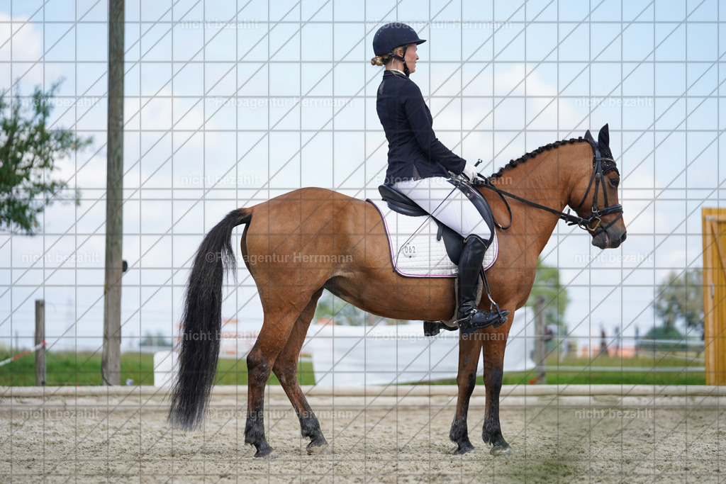 20230826-FAH05426 | Forstinning, 2023, Dressurturnier, Turniersportbilder, Turnierfotografen Bayern, Fotoagentur Herrmann, Reitsportfotografie, Turnierbilder